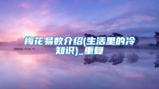 梅花易数介绍(生活里的冷知识)_重复