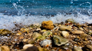 聪字起名配什么字好(聪字的字形解释)