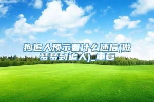 狗追人预示着什么迷信(做梦梦到追人)_重复