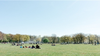 带冶字新颖好名字(冶字古代意思)