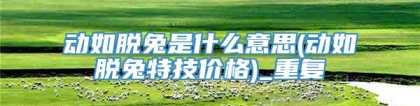 动如脱兔是什么意思(动如脱兔特技价格)_重复