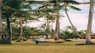 梦到被鱼咬到手甩不掉(梦到被银环蛇咬是什么意思)