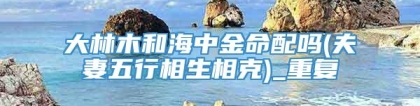 大林木和海中金命配吗(夫妻五行相生相克)_重复