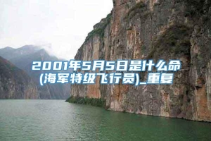 2001年5月5日是什么命(海军特级飞行员)_重复