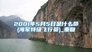 2001年5月5日是什么命(海军特级飞行员)_重复