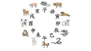 2005年4月21日的八字(你想知道自己是什么命吗)_重复