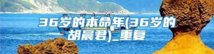 36岁的本命年(36岁的胡晨君)_重复