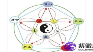 白蜡金的幸运数字 白蜡金命适合住几层