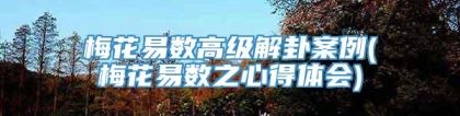 梅花易数高级解卦案例(梅花易数之心得体会)