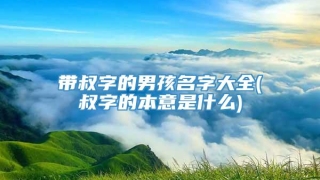 带叔字的男孩名字大全(叔字的本意是什么)
