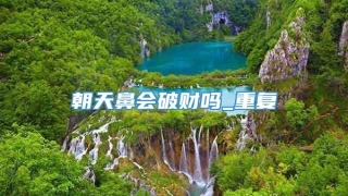 朝天鼻会破财吗_重复