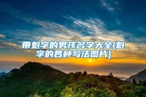 带魁字的男孩名字大全(魁字的各种写法图片)