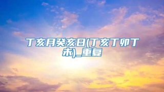 丁亥月癸亥日(丁亥丁卯丁未)_重复