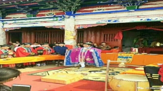 打板算卦苗广义(千年古村大苗庄)