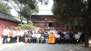 梅花易数除不尽(寻找文化记忆)