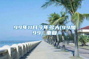 99年11月今年多大(99加99)_重复