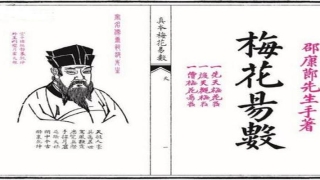 梅花易数预测3d案例(高维能量“投影”破解)