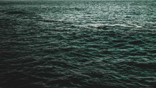 71年十一月属猪的命运(71年属猪几月离婚)_重复