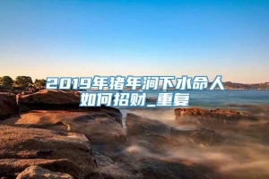 2019年猪年涧下水命人如何招财_重复