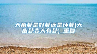 大畜卦是好卦还是坏卦(大畜卦变大有卦)_重复