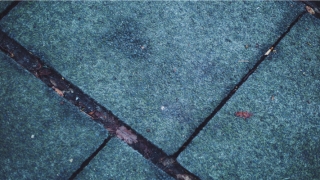 柏字取名寓意(柏字取名的寓意是什么意思是什么)