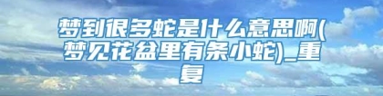 梦到很多蛇是什么意思啊(梦见花盆里有条小蛇)_重复