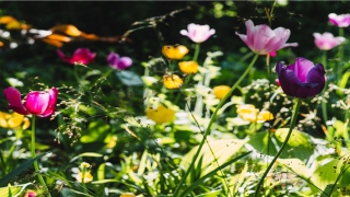 2012属龙男孩取名宜用字(属龙人取名字宜用字)_重复