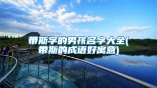 带斯字的男孩名字大全(带斯的成语好寓意)