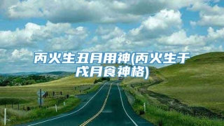 丙火生丑月用神(丙火生于戌月食神格)