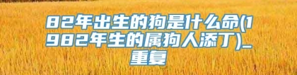 82年出生的狗是什么命(1982年生的属狗人添丁)_重复