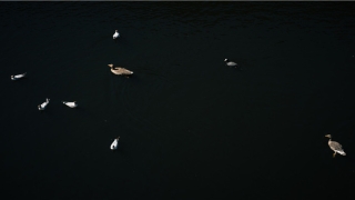 额头高好还是不好(杭州有三套房)