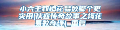 小六壬和梅花易数哪个更实用(侠客传奇故事之梅花易数奇缘)_重复