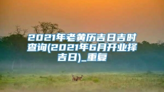 2021年老黄历吉日吉时查询(2021年6月开业择吉日)_重复