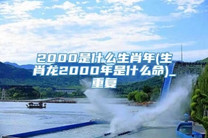 2000是什么生肖年(生肖龙2000年是什么命)_重复