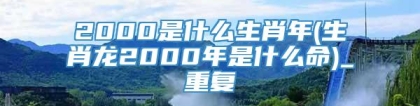 2000是什么生肖年(生肖龙2000年是什么命)_重复