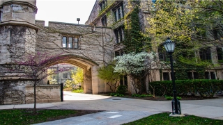 梦到被蛇咬了什么意思 周公解梦(女人梦到被蛇咬了什么意思 周公解梦)