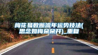 梅花易数断流年运势技法(思念如梅朵朵开)_重复