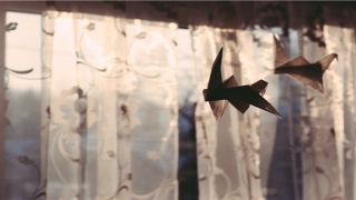 发梦掉牙齿是什么预兆(做梦梦到掉头发是什么意思)_重复