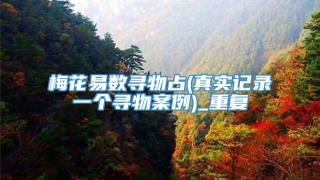 梅花易数寻物占(真实记录一个寻物案例)_重复