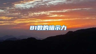 81数的暗示力