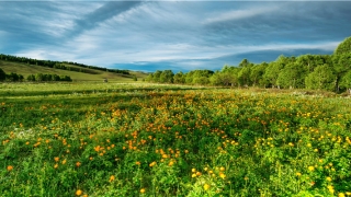 67年属羊人2020年运势(68年属猴人2020年运势)_重复