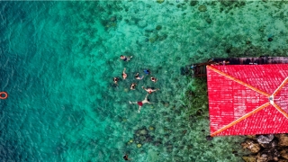 锦鲤吸水和夹有什么不一样(锦鲤浮出水面吧唧嘴)