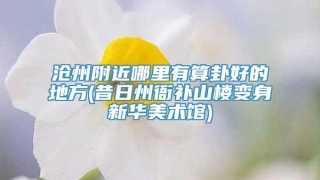 沧州附近哪里有算卦好的地方(昔日州衙补山楼变身新华美术馆)