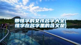 带惟字的女孩名字大全(惟字在名字里的含义是)