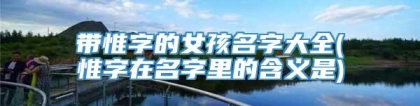 带惟字的女孩名字大全(惟字在名字里的含义是)