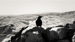 86年属虎二次婚姻在几岁(1986年属虎的人2018年生肖运势)