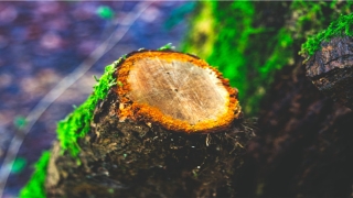 测婚姻是否长久(你早晚要明白)