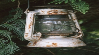 额头高的人适合什么发型(发际线高的女人快跟杨幂学)