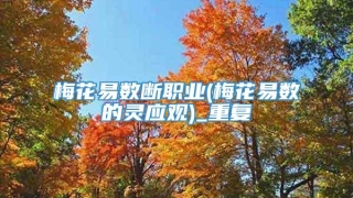 梅花易数断职业(梅花易数的灵应观)_重复