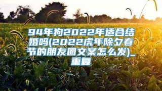 94年狗2022年适合结婚吗(2022虎年除夕春节的朋友圈文案怎么发)_重复